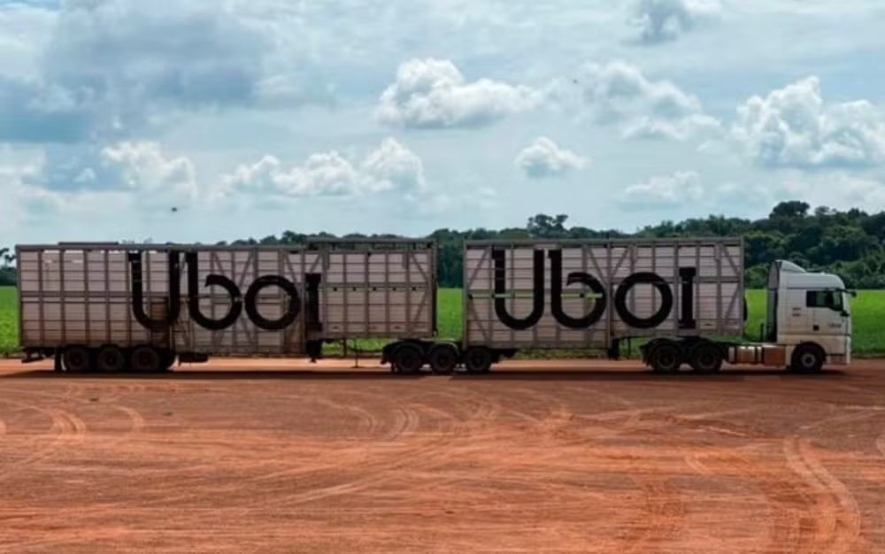 “Uber do Boi”: JBS lança app que promete destravar a logística de transporte de gado no Brasil